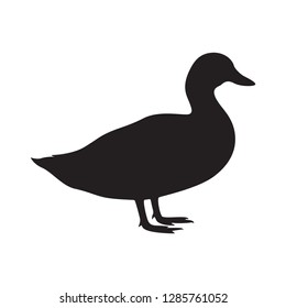 Duck sign. Duck black silhouette isolated on white background. Vector illustration