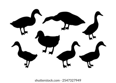 Duck silhouette in any pose, graphic design element suitable for logo or illustration.