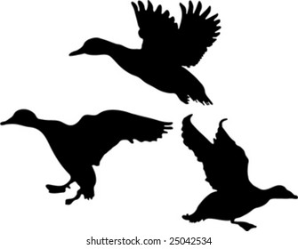 duck silhouette collection