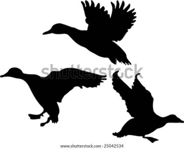 Duck Silhouette Collection Stock Vector (Royalty Free) 25042534