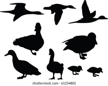 duck silhouette collection - vector