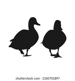 Duck Silhouette collection vector illustrations 