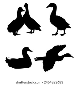 Duck silhouette illustration. Fly, swim. Over white background