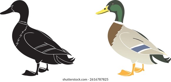 Duck silhouette and illustration with white background