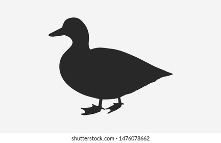 Duck Silhouette Isolated On White Background. Vector Duck Icon. 