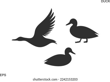 Duck silhouette. Isolated duck on white background. Bird