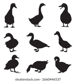 Duck Silhouette Poses for Graphic Design