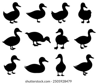 Duck silhouette set collection isolated on white background vector illustration