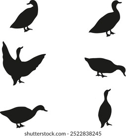 duck silhouette. set of duck silhouettes or wild birds isolated on a white background. duck silhouette png.	
