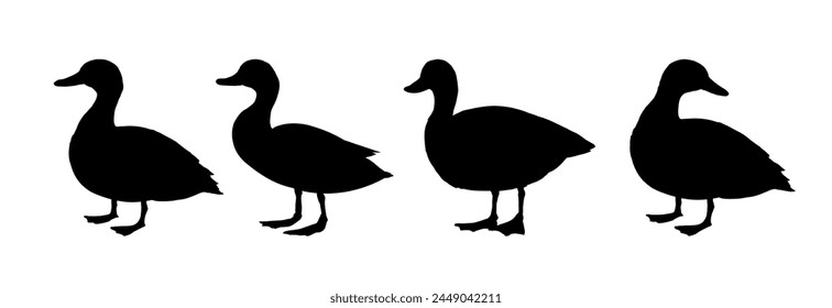 duck silhouette set - vector illustration	