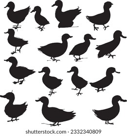 Duck silhouette set in white background