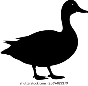 Duck Silhouette Vector Art Image