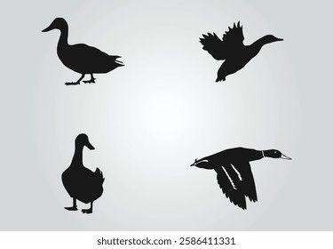 duck silhouette, duck vector art for your brand