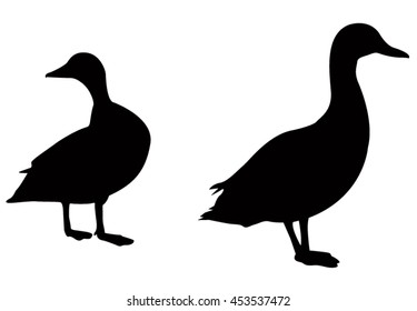 Duck silhouette, vector illustration.