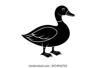 duck silhouette vector  illustration animals