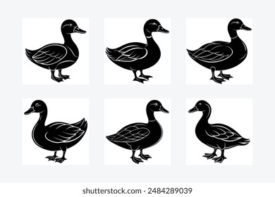 Duck Silhouette vector illustration black and white