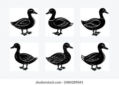 Duck Silhouette vector illustration black and white