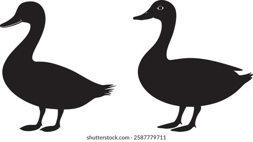 Duck Silhouette Vector Illustration, Black on White