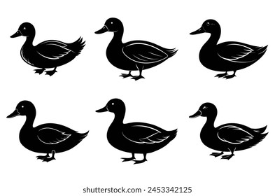 Duck silhouette vector illustration with on white background