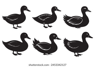 Duck silhouette vector illustration with on white background