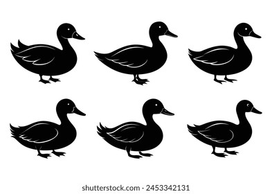 Duck silhouette vector illustration with on white background