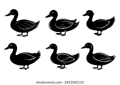 Duck silhouette vector illustration with on white background