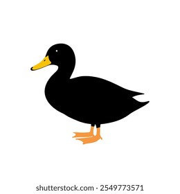 Duck silhouette vector illustration on white background