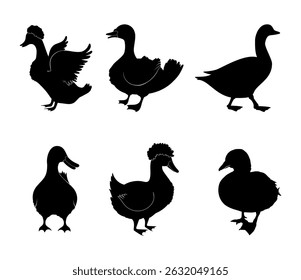 duck silhouette vector illustration set