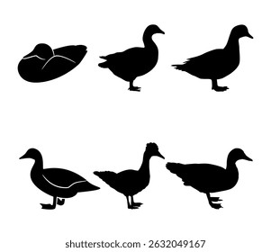 duck silhouette vector illustration set