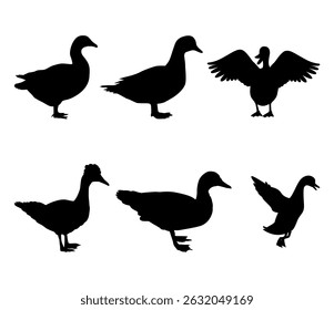 duck silhouette vector illustration set