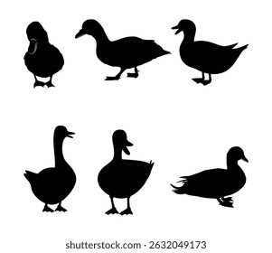duck silhouette vector illustration set