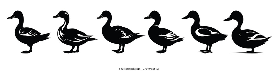 conjunto de vetor de silhueta de pato ganso preto silhuetas feixe
