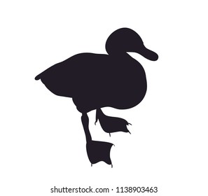 duck silhouette. vector, white background
