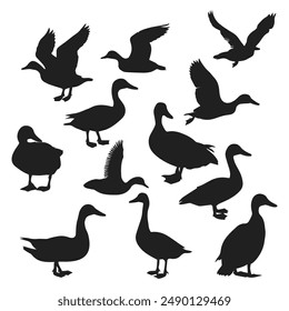 Duck silhouettes collection Vector on white background