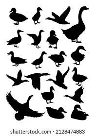 Duck silhouettes. Good use for any design you want.