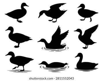 Duck silhouettes on a white background a collection of waterfowl shapes