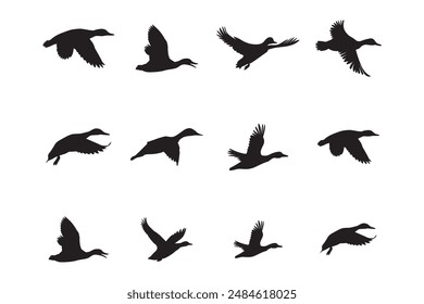 duck silhouettes, vector art, graphics