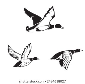 duck silhouettes, vector art, graphics