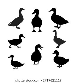 Arte vectorial de siluetas de pato sobre un fondo blanco. 