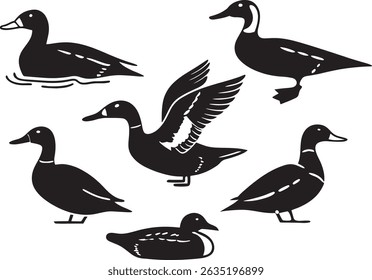 Duck Silhouettes Vector Pack Waterfowl Bird Clipart Set Black and White Pond  Flying Duck Illustrations