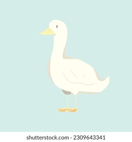 duck simple livestock vector illustration 