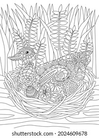 Duck Sitting On Nest With Tall Grass Background Colorless Line Drawing. Wild Goose Nesting On The Ground With Two Eggs Coloring Book Page.