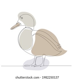 duck, sketch, continuous line drawing, isolated, vector