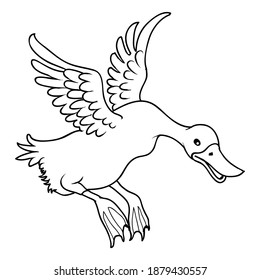 duck sketch vector illustration,isolated on white background,animals top view
