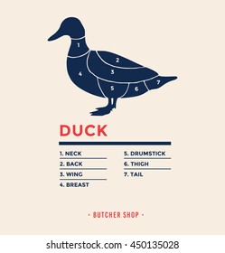 Duck with specified type of meat. Meat market. Poster Butcher diagram and scheme Duck. Meat cuts. Vector illustration.