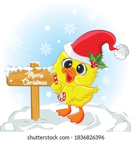 Duck stand on snow with candy background. merry christmas background illustration.