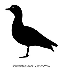 Duck standing sideways. Black silhouette on transparent background.