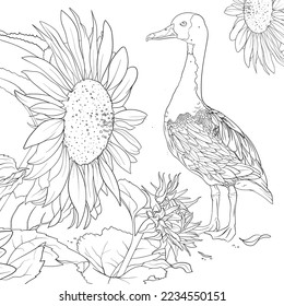 Duck and sunflower colouring page outline vector