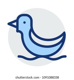 duck swim bird 