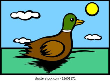 duck swimming in a pond